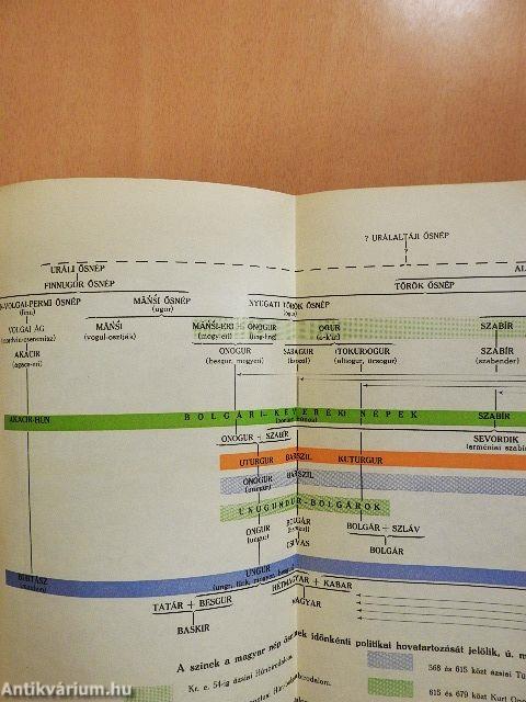 Magyar történet I-V.
