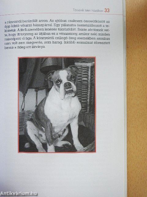 Társaink Isten házában