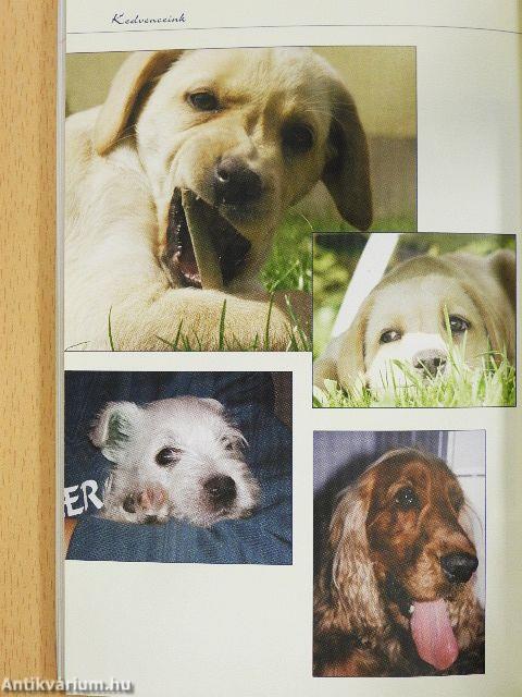 Társaink Isten házában