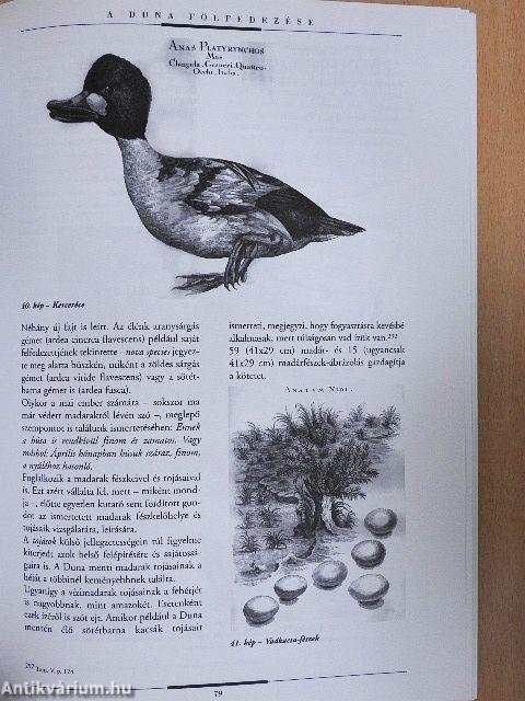 A Duna fölfedezése