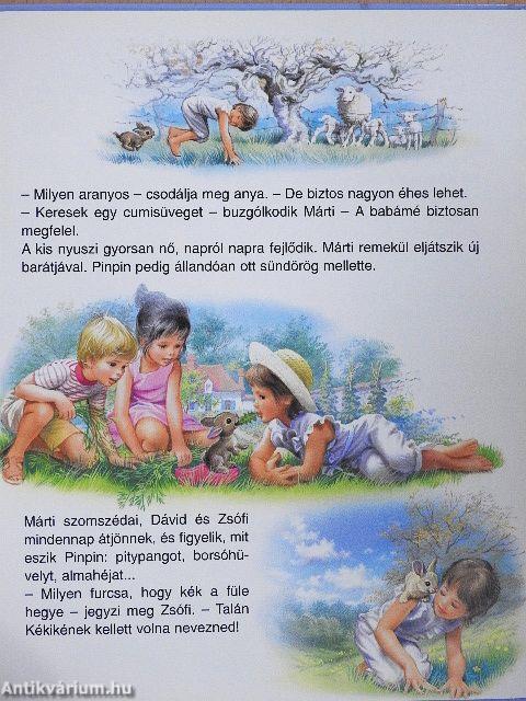 Márti erdőn, mezőn