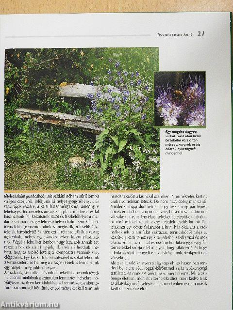 Ötletek és tippek lakókertekhez