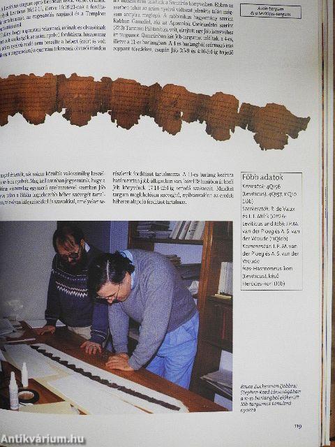 A holt-tengeri tekercsek világa