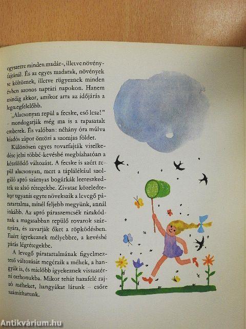 Várható időjárás