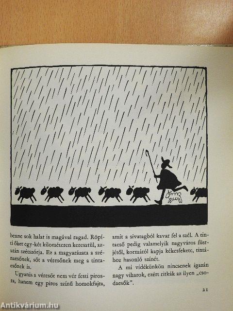 Várható időjárás