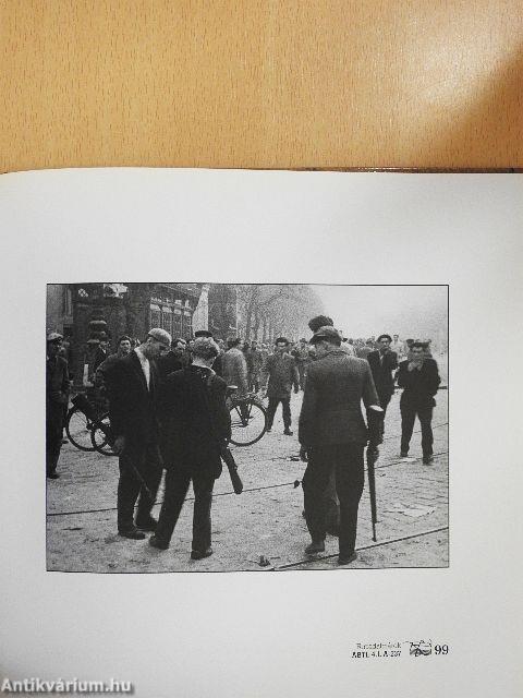 Fényképek 1956