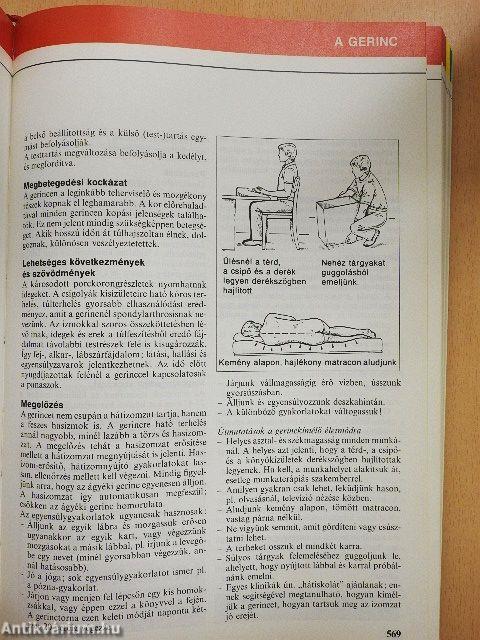 Nagy egészségkönyv