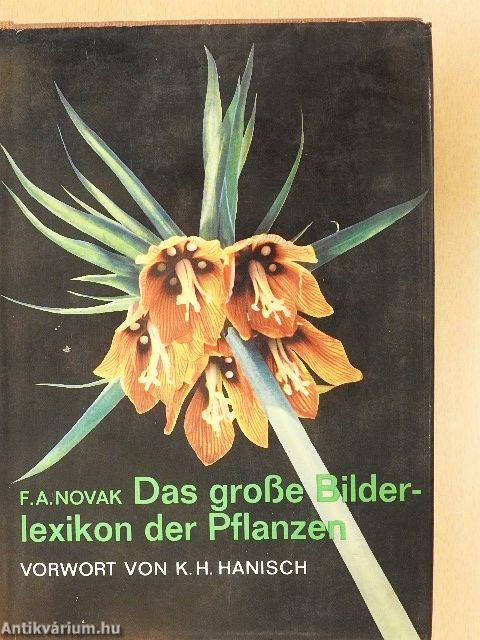 Das große Bilderlexikon der Pflanzen