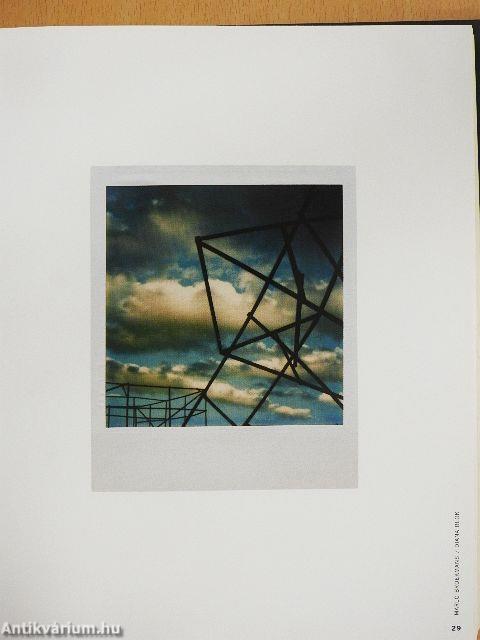 The Polaroid Book