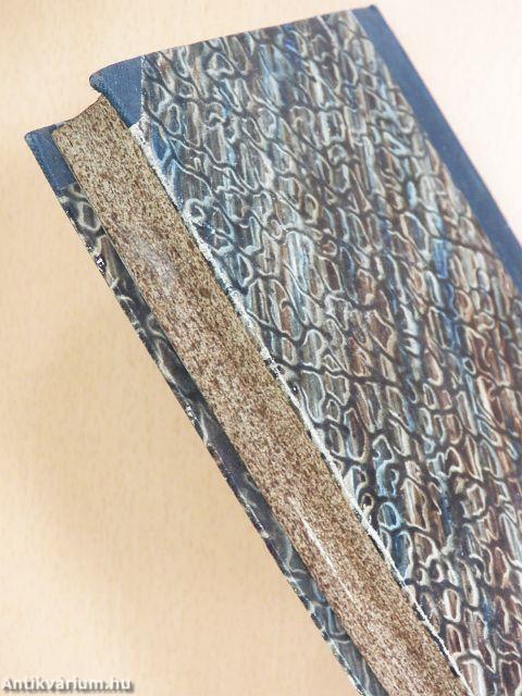 Bulletin de la Société de Saint-Vincent-de-Paul V.