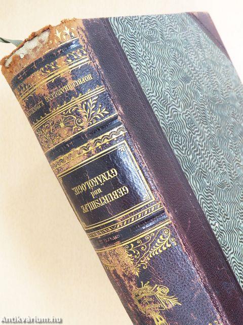 Geburtshilfe und Gynaekologie