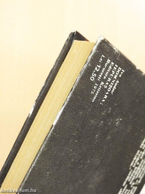 A Kisasszony/Nyuszka