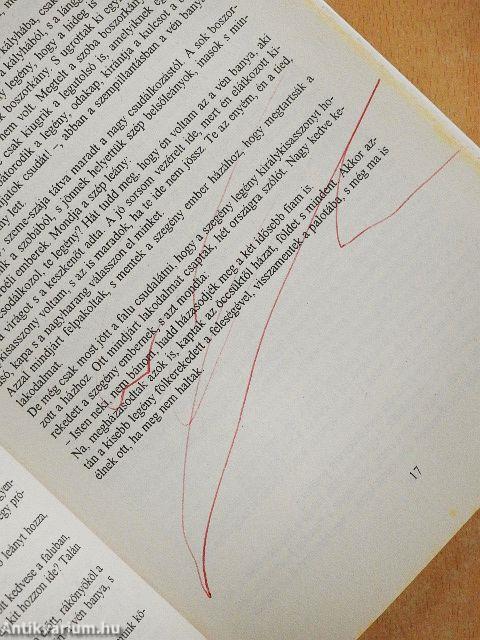 Kisiskolások mesekönyve