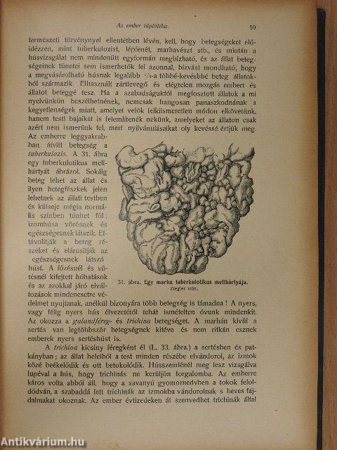 A nő mint háziorvos I. (töredék)