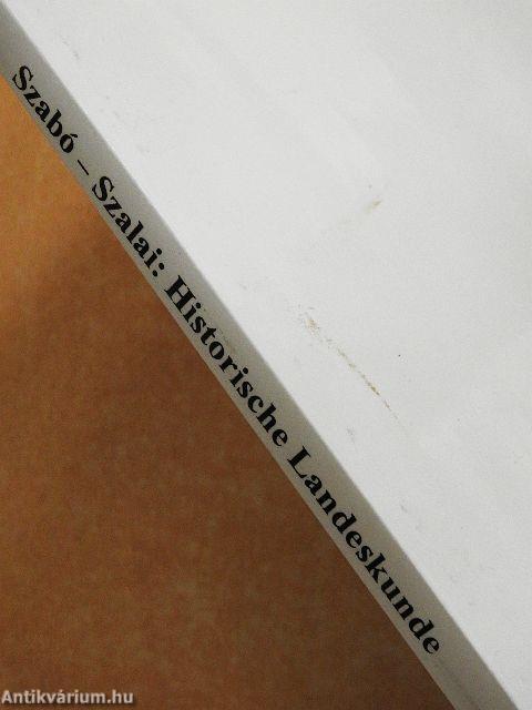 Eine Einführung in die deutsche Geschichte und Kulturgeschichte