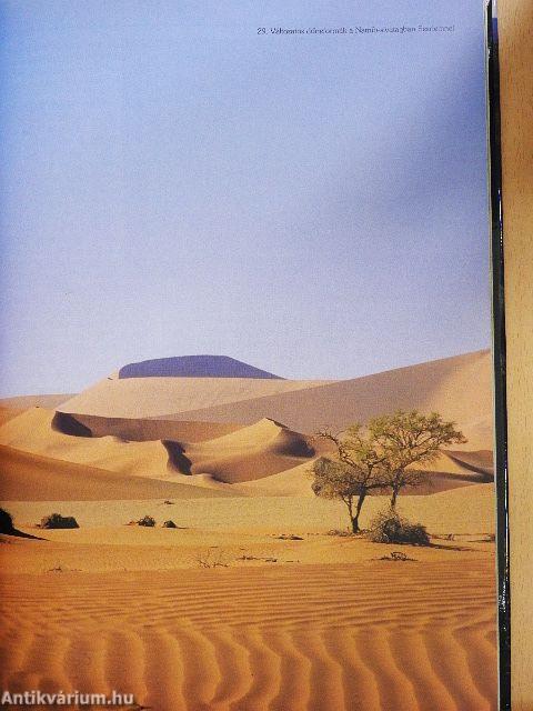 Barangolások Dél-Afrikában