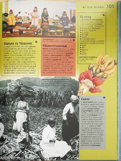 Mindennapi élet az ókortól napjainkig