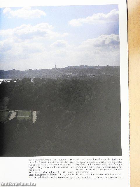Buda, Duna, Pest