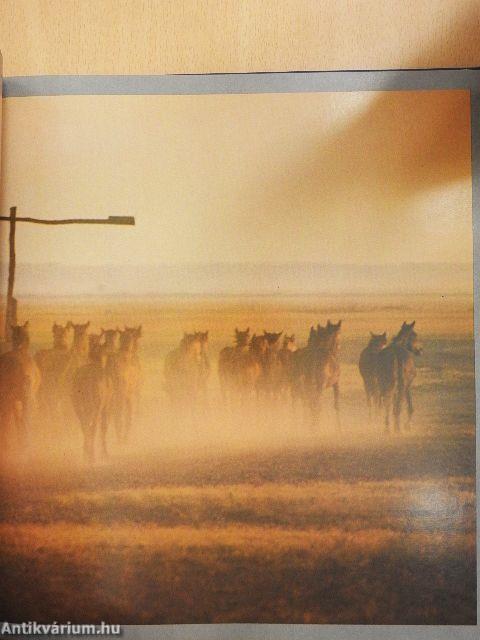 Varázslatos Magyarország