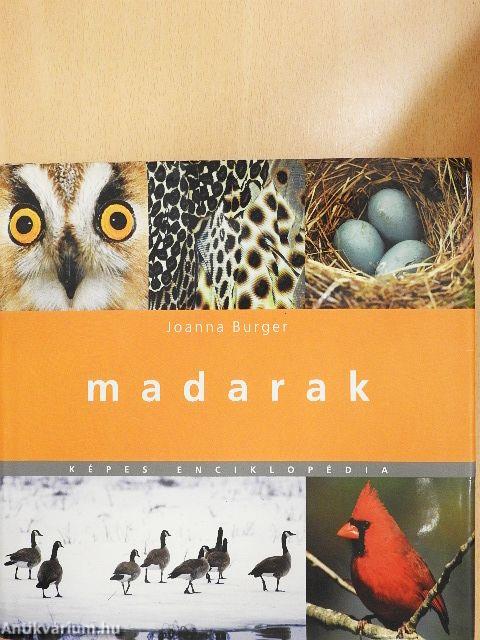 Madarak