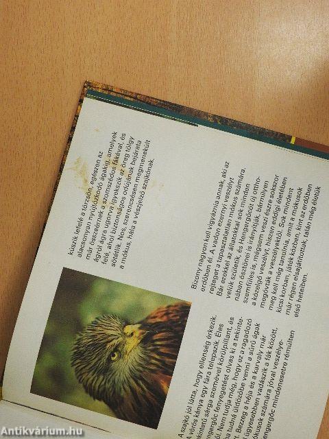 Sok szerencsét, Hengergőc!