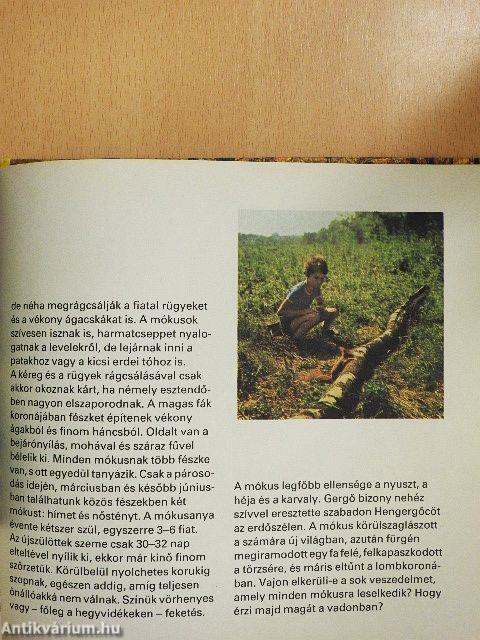 Sok szerencsét, Hengergőc!