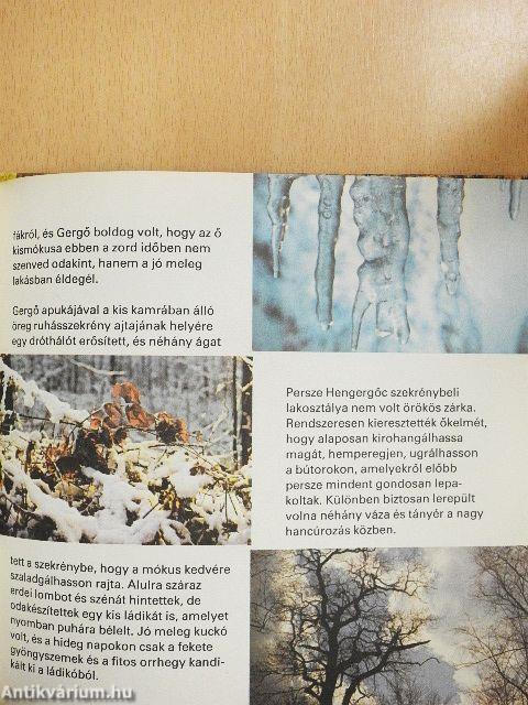 Sok szerencsét, Hengergőc!