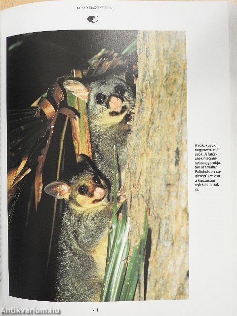 Emlősök enciklopédiája I.