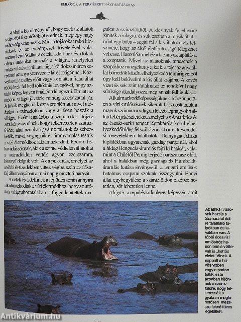 Emlősök enciklopédiája I.