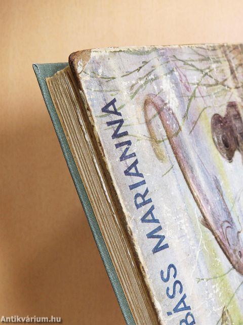 Vakáció a Balaton fenekén