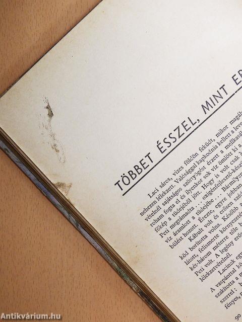 Vakáció a Balaton fenekén