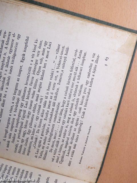 Vakáció a Balaton fenekén