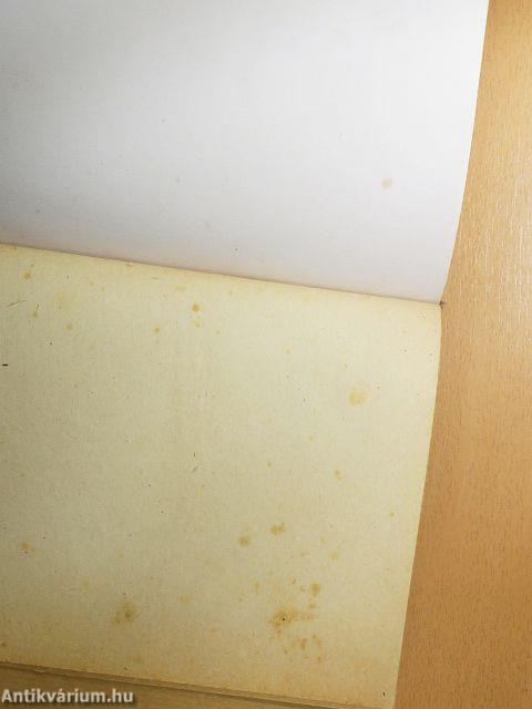 Az elektromosság diadalútja