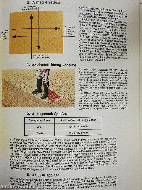 Pázsit és gyepszőnyeg