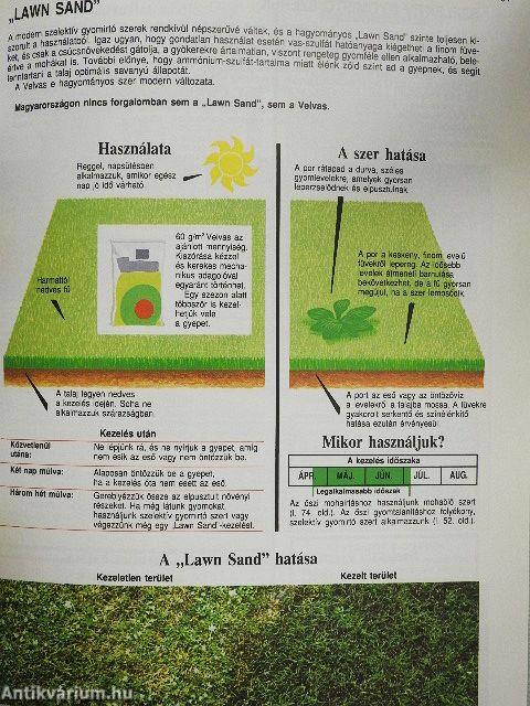 Pázsit és gyepszőnyeg