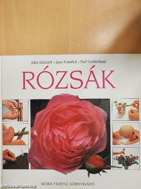 Rózsák