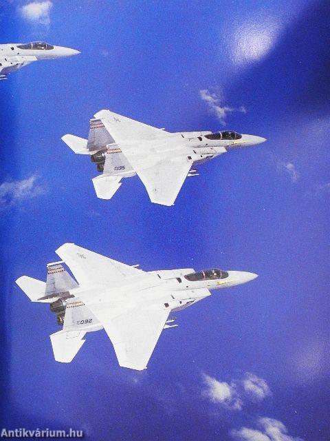 A világ harci repülőgépei