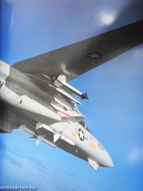 A világ harci repülőgépei