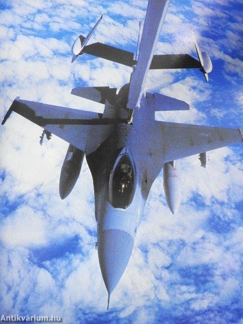 A világ harci repülőgépei