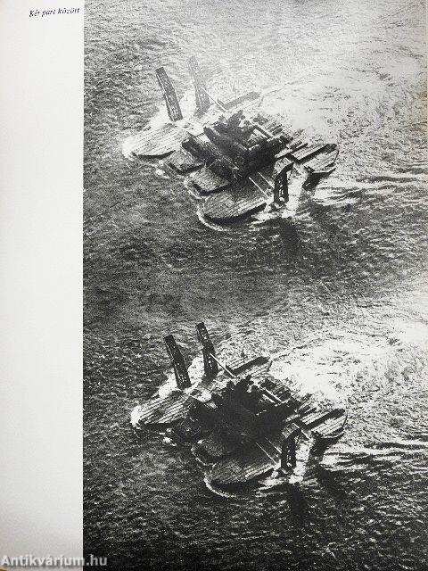 A haza szolgálatában