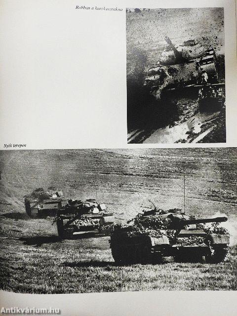 A haza szolgálatában