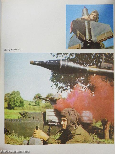 A haza szolgálatában