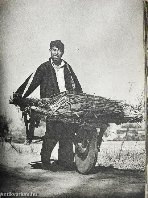 A Nagy faltól a Csendes-óceánig