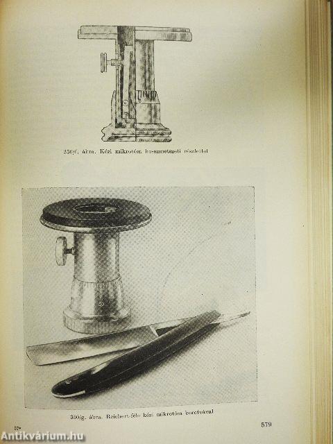 Növényszervezettani gyakorlatok