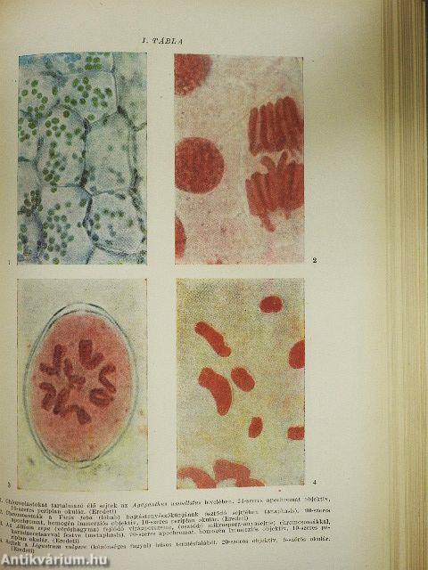 Növényszervezettani gyakorlatok
