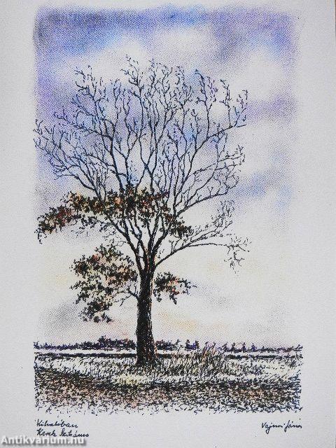 Vásárhely szélös határában