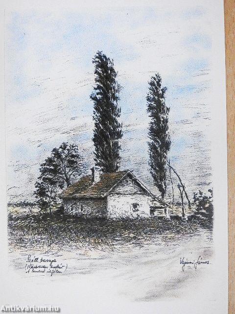 Vásárhely szélös határában