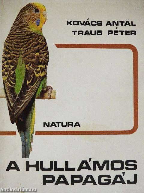 A hullámos papagáj