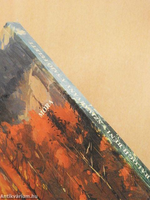 Szivárvány a Sajó felett