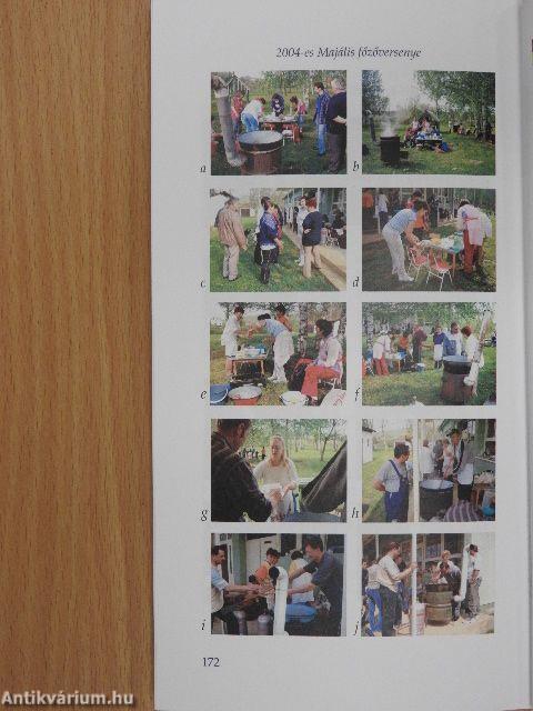 Alvó konfliktusok mezején